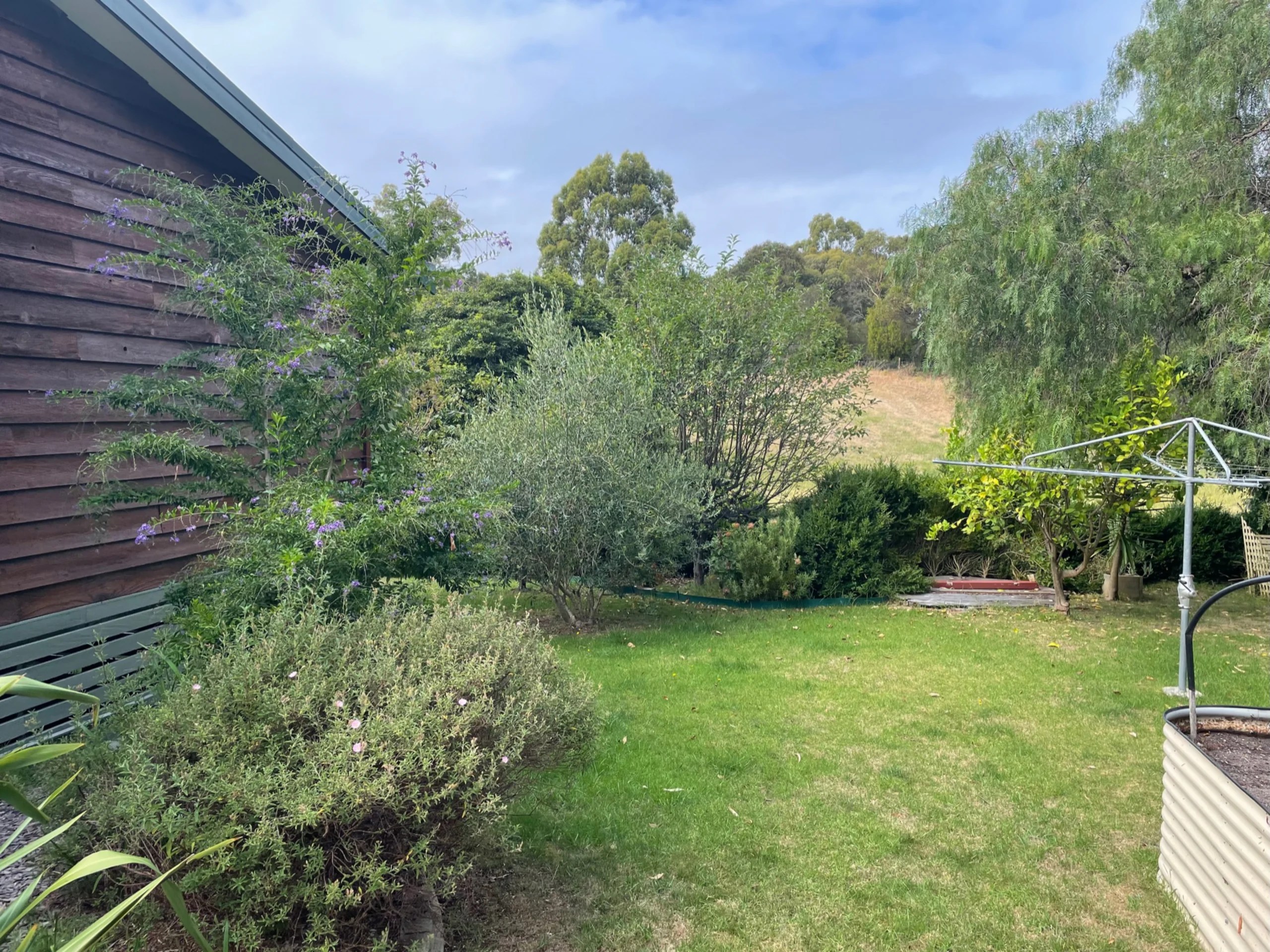 Rear garden